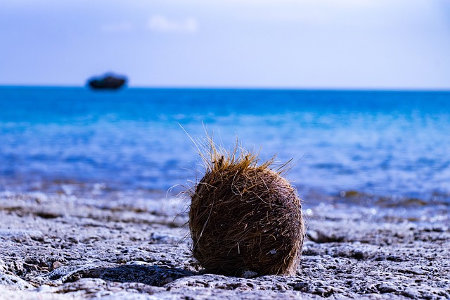 Kokosový ořech na pláži